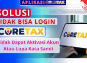 Solusi Bagi Orang Pribadi Tidak Dapat Login Coretax