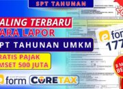 Cara Lapor SPT Tahunan UMKM Omset 500 Juta