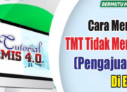 Cara Mengatasi TMT Tidak Memenuhi Pengajuan PPG di EMIS 4.0