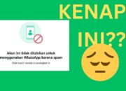 3 Cara Mengatasi Akun WhatsApp Kena Spam Terus