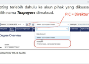 Siapa PIC di Coretax dan Bagaimana Peran dalam Pengelolaan Perpajakan?