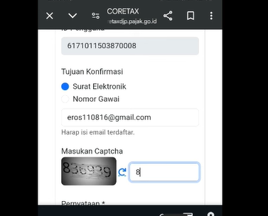 Cara Login Pertama Kali Website Coretax Pakai HP Paling Mudah!