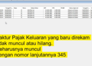 Cara Mengatasi Pajak Keluaran Hilang Setelah Merekam di Aplikasi e-Faktur